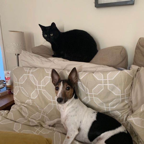 Photo of Adria melissa lemos pires 