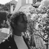 Photo of rue