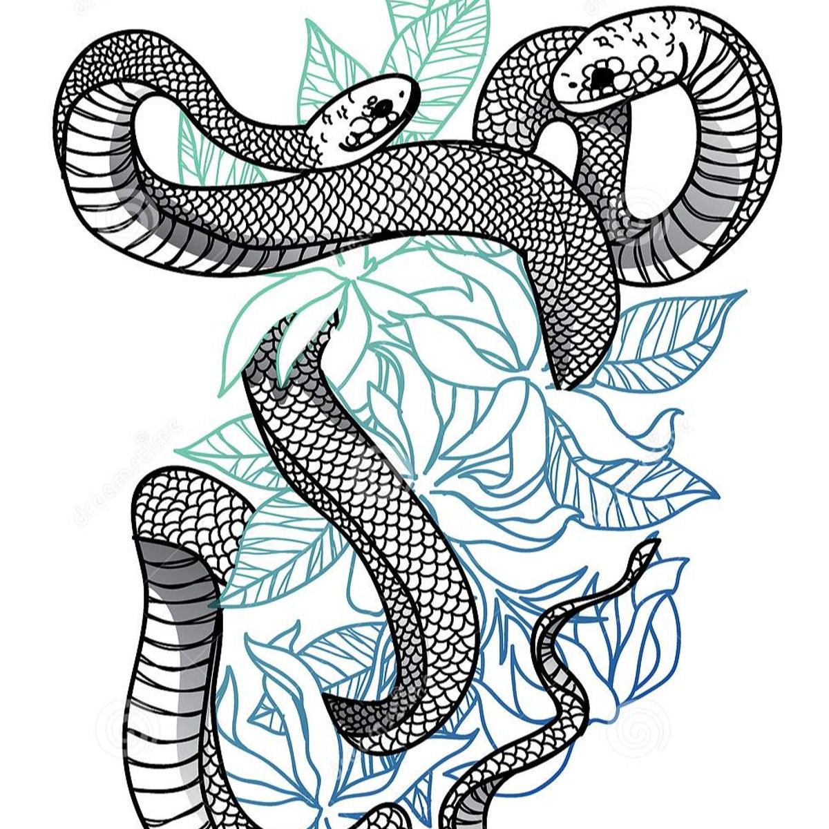 Photo of Jana Elshamy