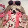 Photo of Olivia