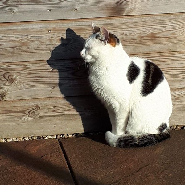 Photo of Aryanne Abma