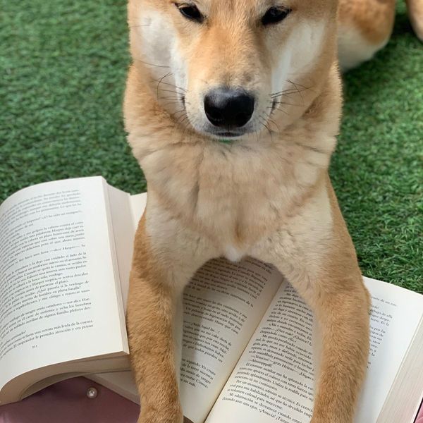 Photo of Patricia J. Garcia