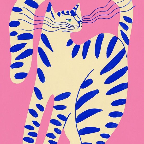 Photo of Armita dabir