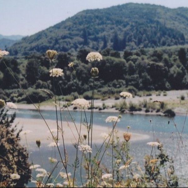 Photo of 𖡼.𖤣𖥧𖡼.𖤣𖥧