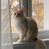 Photo of Maja