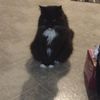 Photo of O