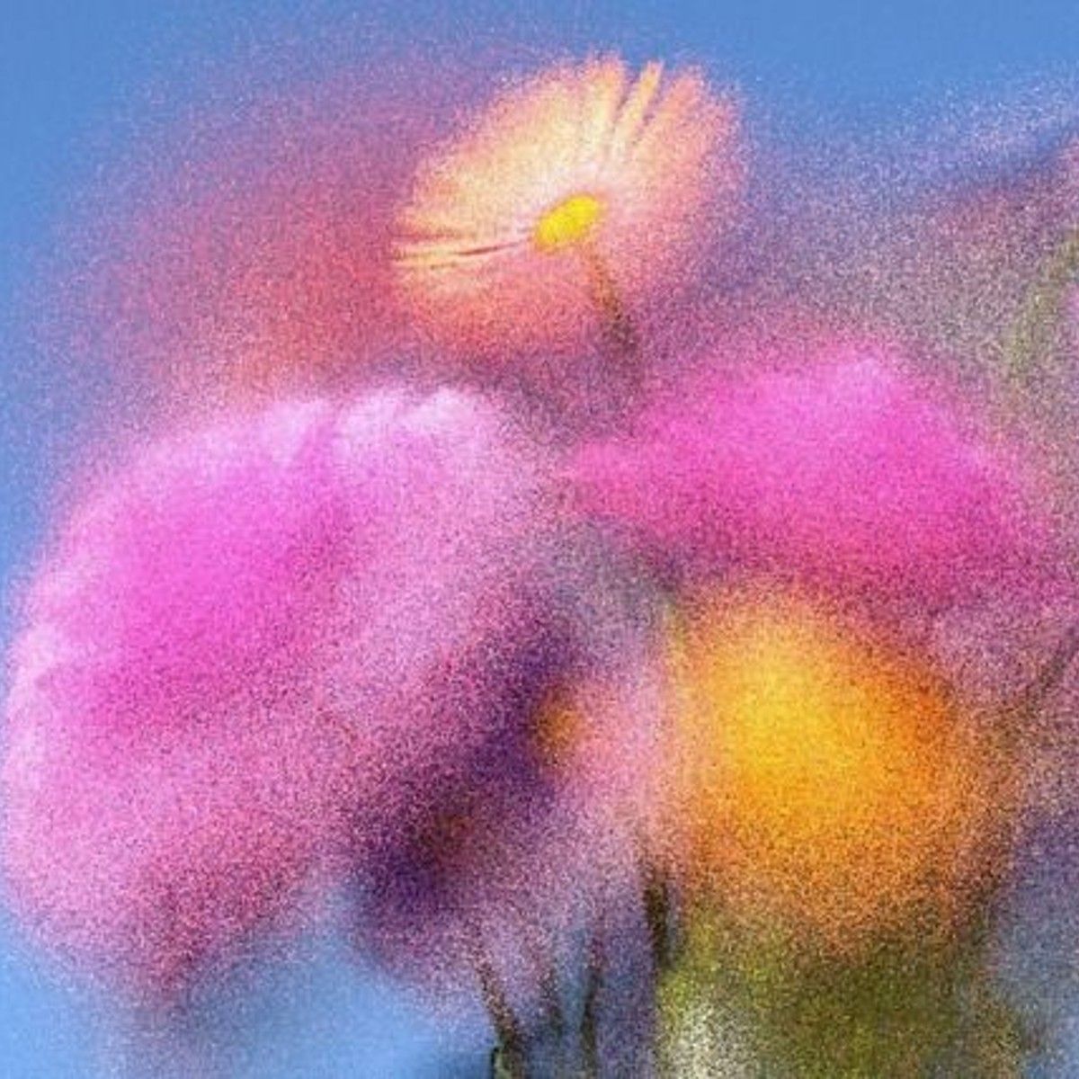 Photo of María Belén