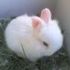 Photo of Emma