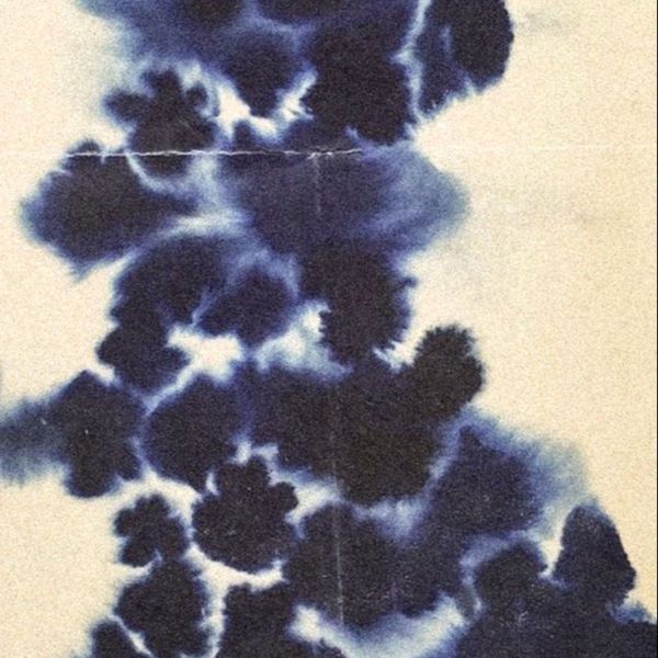 Photo of fasyareadkive