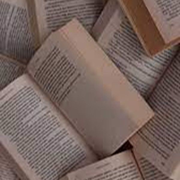 Photo of Mercedes Campbell