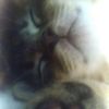 Photo of be p.