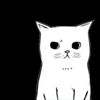 Photo of wenko
