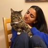 Photo of beea