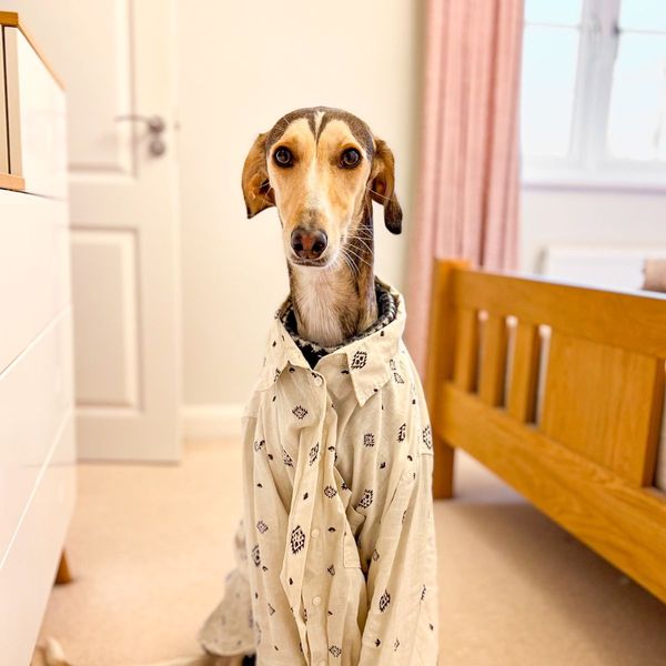 Photo of Claire Kidd