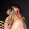Photo of Nicole Grace
