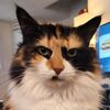 Photo of Tammy