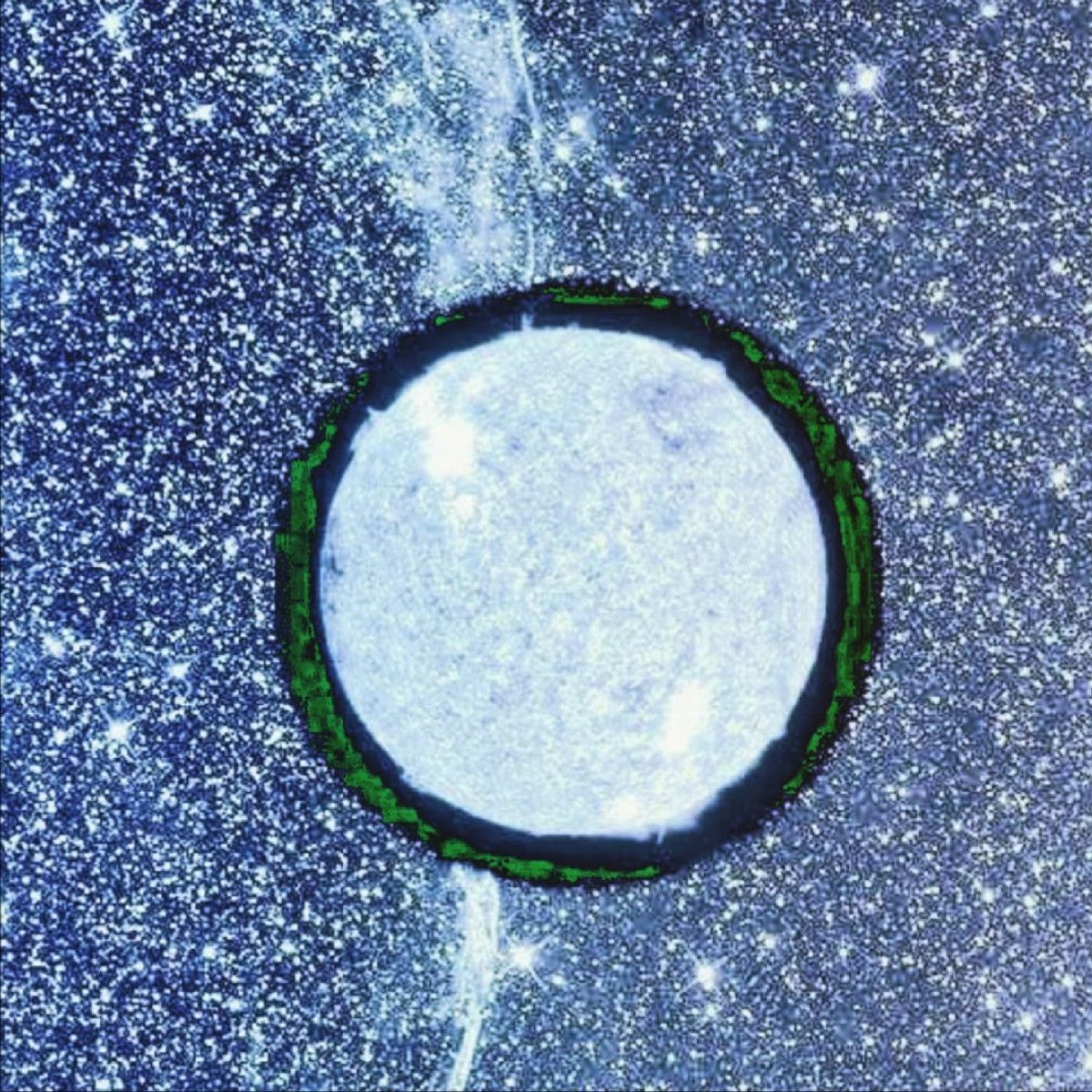 Photo of Kamo Kamo