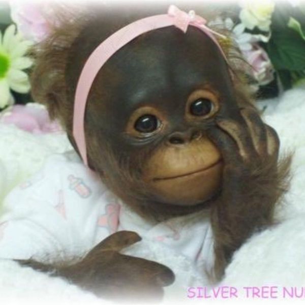Photo of Averi K