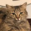Photo of Florian