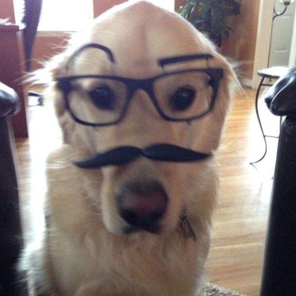 Photo of dan
