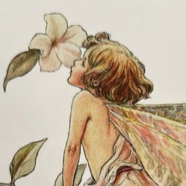 Photo of mariola