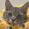 Photo of Kiki