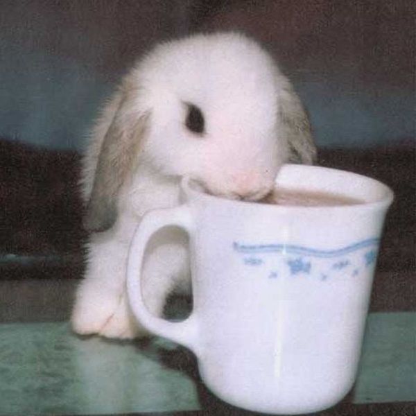Photo of marceline