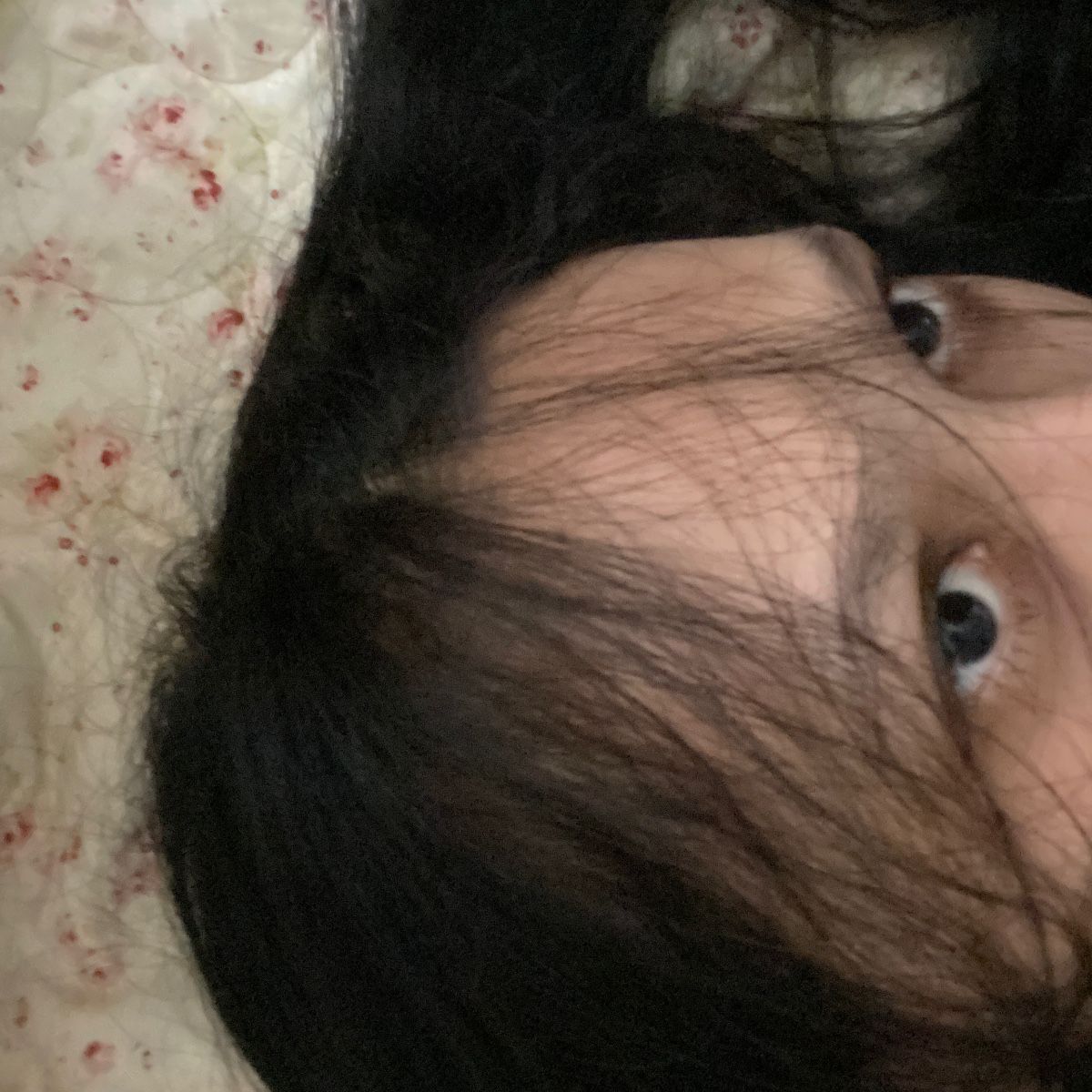 Photo of summer at midnight