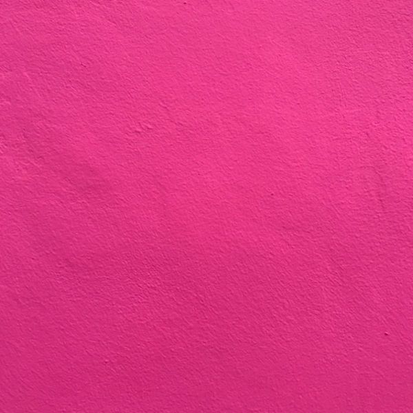 Photo of Laura Friel